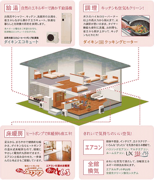 �G�R�L���[�g